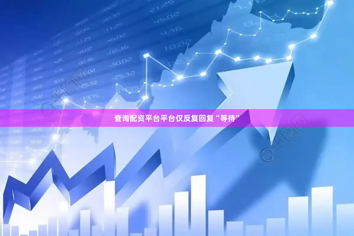 查询配资平台平台仅反复回复“等待”