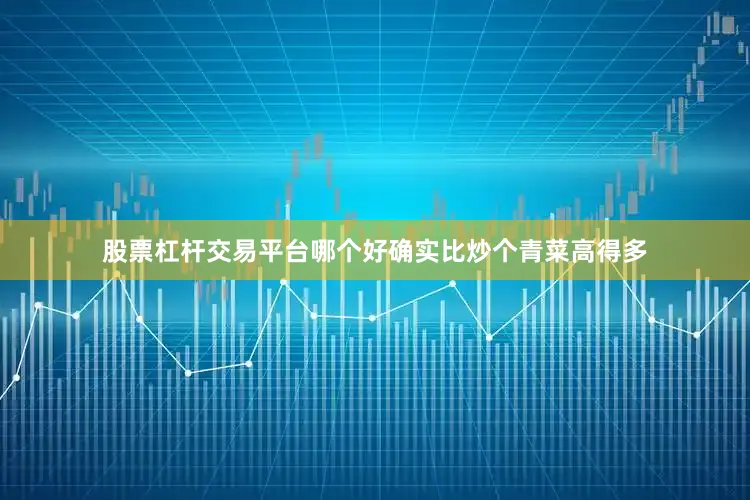 股票杠杆交易平台哪个好确实比炒个青菜高得多