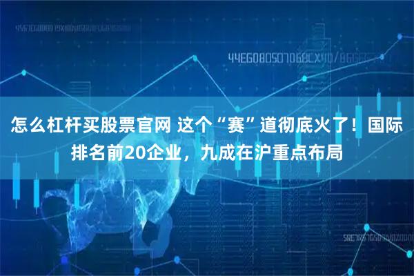怎么杠杆买股票官网 这个“赛”道彻底火了!国际排名前20企业,九成在沪重点布局
