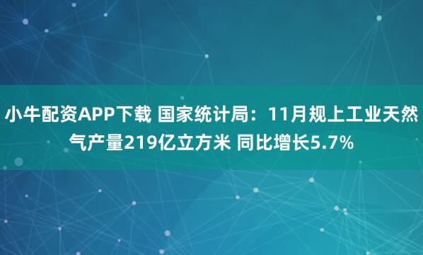 小牛配资APP下载 国家统计局：11月规上工业天然气产量219亿立方米 同比增长5.7%